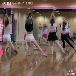 芝华成人舞蹈视频大全,芝华成人舞蹈视频大全精选集锦