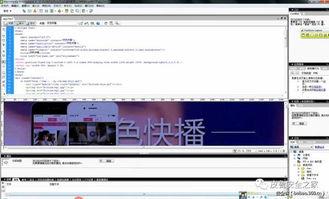 成人链接制作教程视频,成人链接制作教程视频概述