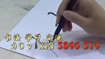 成人笔画控笔教程视频,成人笔画控笔教程视频精华概述