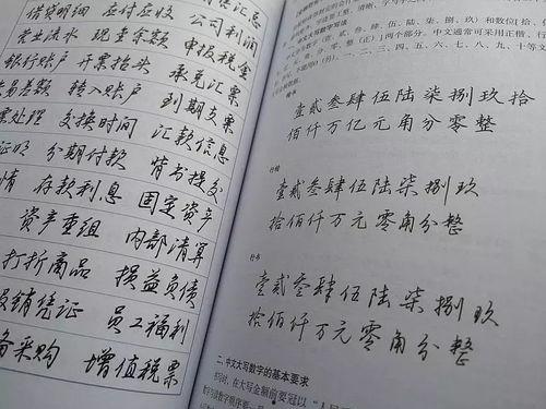 成人练字行书欣赏视频,成人练字行书欣赏之旅