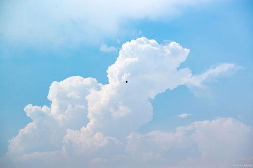 怎么把云朵做成人形视频,创意视频教程揭秘