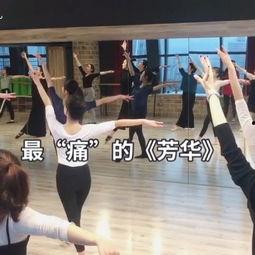 劈叉很疼的舞蹈视频成人,揭秘劈叉舞蹈的挑战与魅力