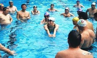 成人学仰泳游泳视频,跟随仰泳教学视频轻松掌握游泳技巧