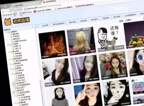 么么哒成人直播视频,激情四溢的视觉盛宴