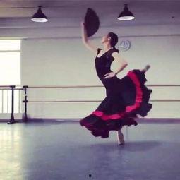 感动的舞蹈剧目成人舞蹈视频,感动舞剧的成人舞蹈视频赏析